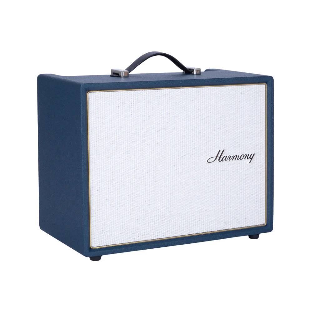Harmony Series 6 All-Tube Combo H605